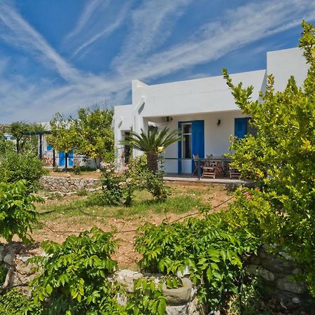 Pleiades Apartments Lefkos  Zewnętrze zdjęcie