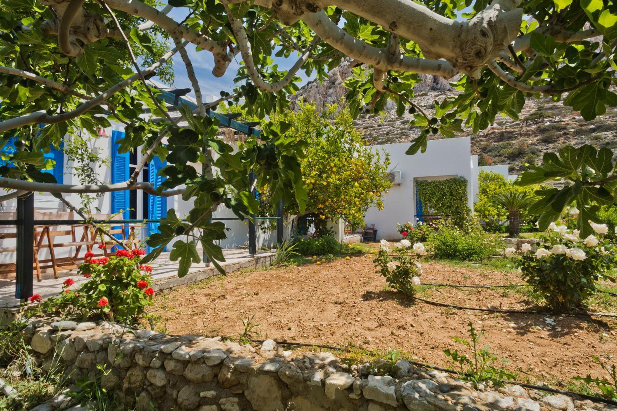 Pleiades Apartments Lefkos  Zewnętrze zdjęcie