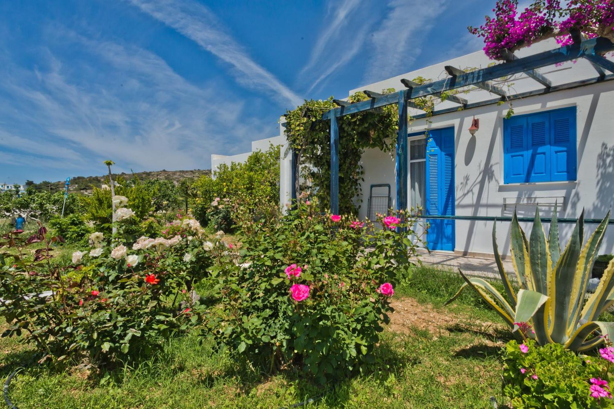 Pleiades Apartments Lefkos  Zewnętrze zdjęcie